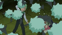 Woobat