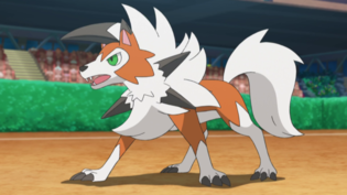 Imagen de Lycanroc