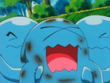 Imagen de Wobbuffet