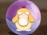 Psyduck dentro de la Pokébola/Poké Ball.