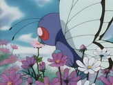 Butterfree
