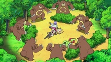 Ursaring