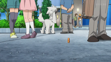 Furfrou