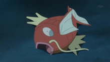 Magikarp