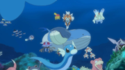 EP1069 Pokémon en el mar.png