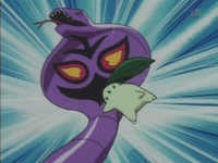 Chikorita usando placaje.