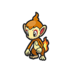 Chimchar