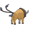 Tauros