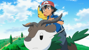Imagen de Skiddo
