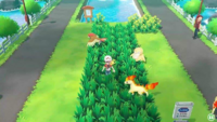 Pokémon salvajes en el Camino de Pokémon.