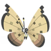 Vivillon desierto