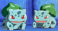 Bulbasaurtwo y el Bulbasaur de Ash