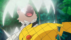 Rockruff de Ash usando mordisco.