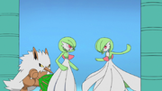 EP1108 Gardevoir y Shiftry.png