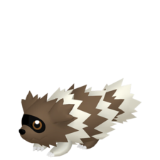 Zigzagoon macho