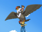 Staraptor