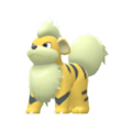 Imagen de Growlithe en Pokémon Diamante Brillante y Pokémon Perla Reluciente