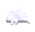 Cola liviana variocolor