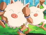 Primeape