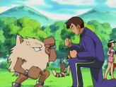 Primeape