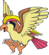 Pidgeot