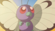 EP792 Butterfree.png