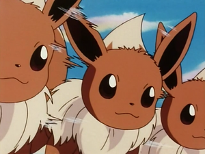 Eevee usando doble equipo.