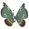 Vivillon jungla