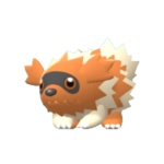Imagen de Zigzagoon variocolor en Pokémon Diamante Brillante y Pokémon Perla Reluciente