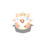 Barriga al aire variocolor