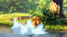 Chimchar cayéndose en el agua.