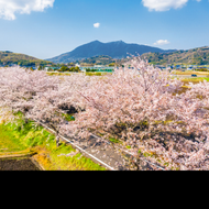 Fondo de Ibaraki