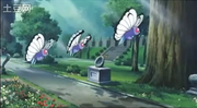 P05 Butterfree.png