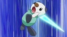 Oshawott usando concha filo.