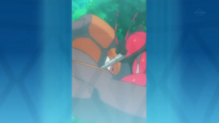 Rhyperior
