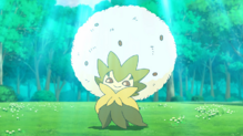 Eldegoss