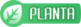 Tipo planta