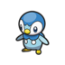 Piplup
