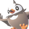 Icono de Starly macho en Leyendas Pokémon: Z-A