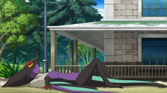 Noivern con la cola entre sus patas.