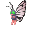 Butterfree EpEc variocolor hembra.gif