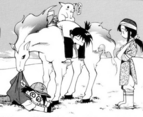 Ponyta en ETP05