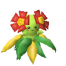 Bellossom