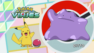 Ditto