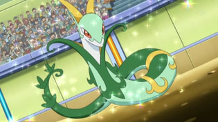 Imagen de Serperior