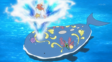 Magikarp