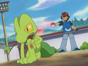 Treecko de Ash quemado.