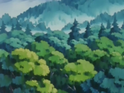 EP156 Bosque.png