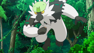 Imagen de Passimian