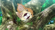 EP1109 Raticate.png